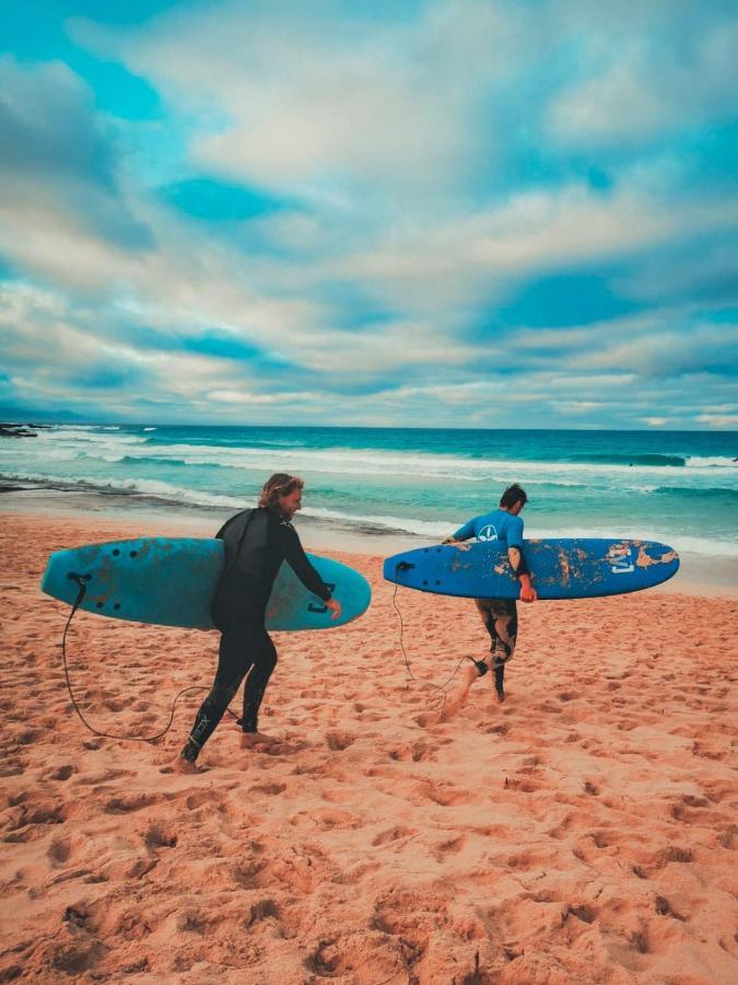 International Surf Camp Only Surf Albergue